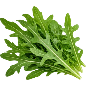 Экстракт рукколы